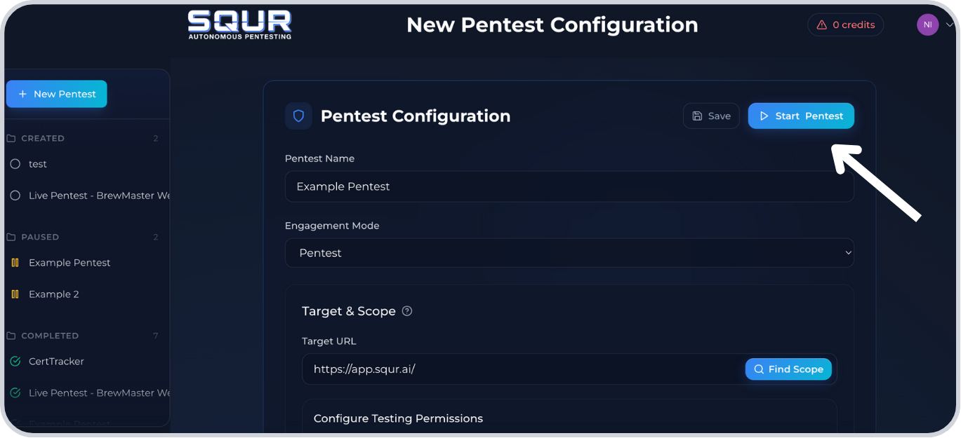 Step 13: Click Start Pentest
