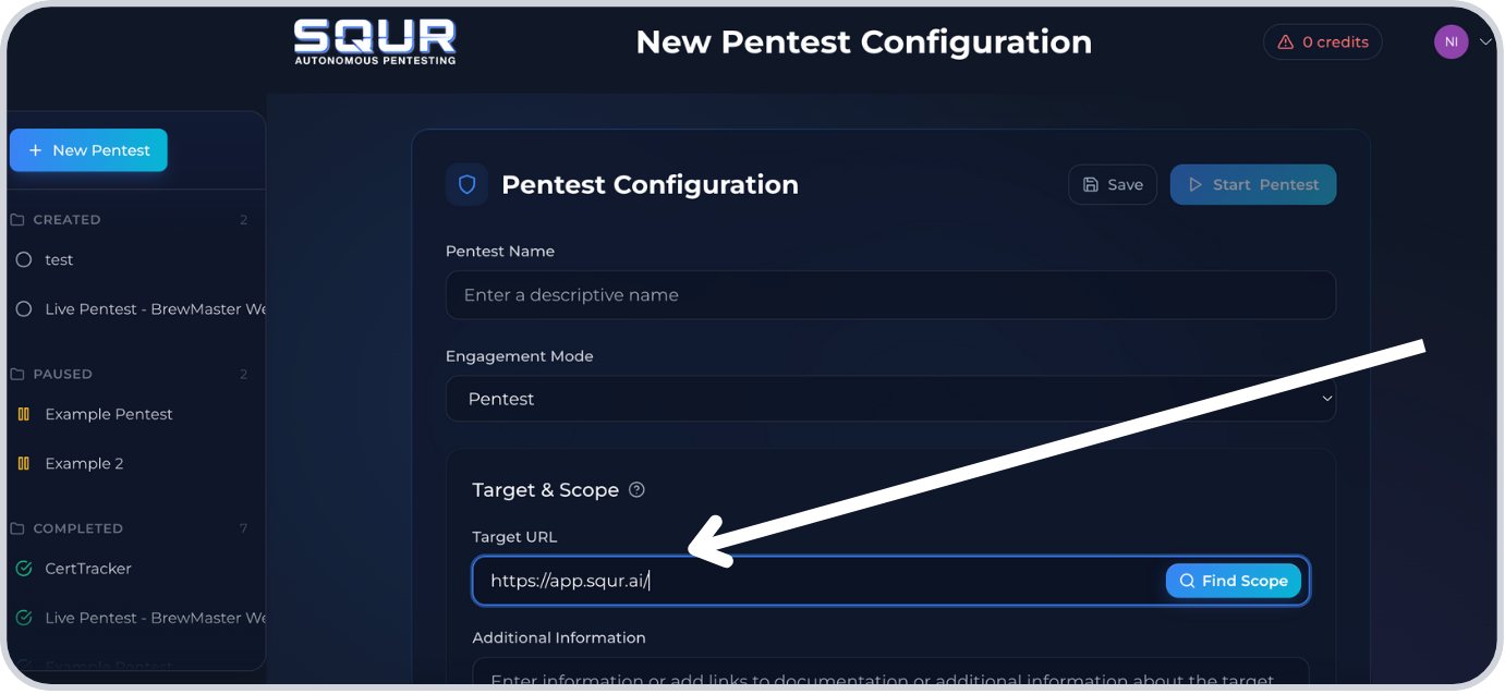 Step 3: Enter target URL