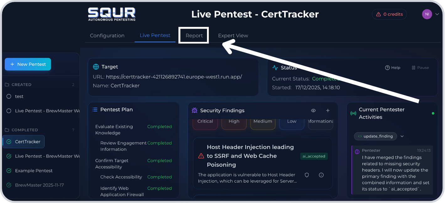 Step 1: Navigate to report page